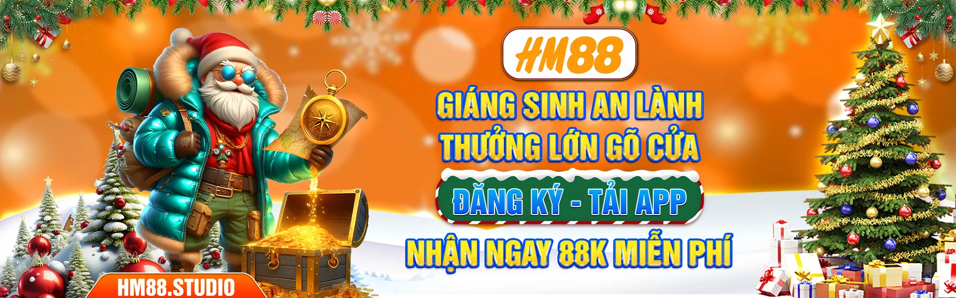 banner hm88