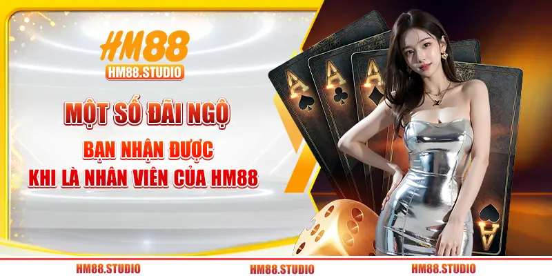Một số đãi ngộ bạn nhận được khi là nhân viên của HM88 